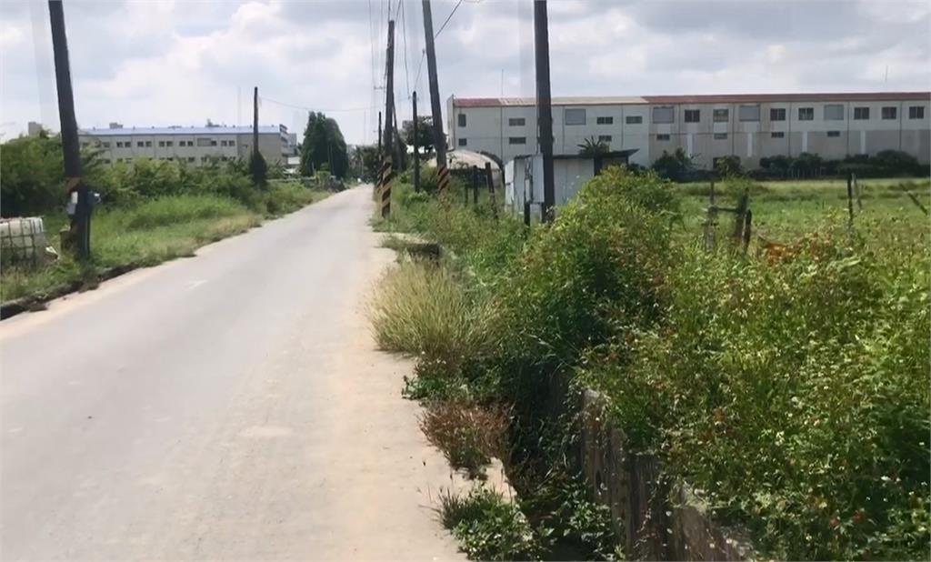 重金２０萬懸賞！　台南米克斯「阿妹」走失、飼主急尋