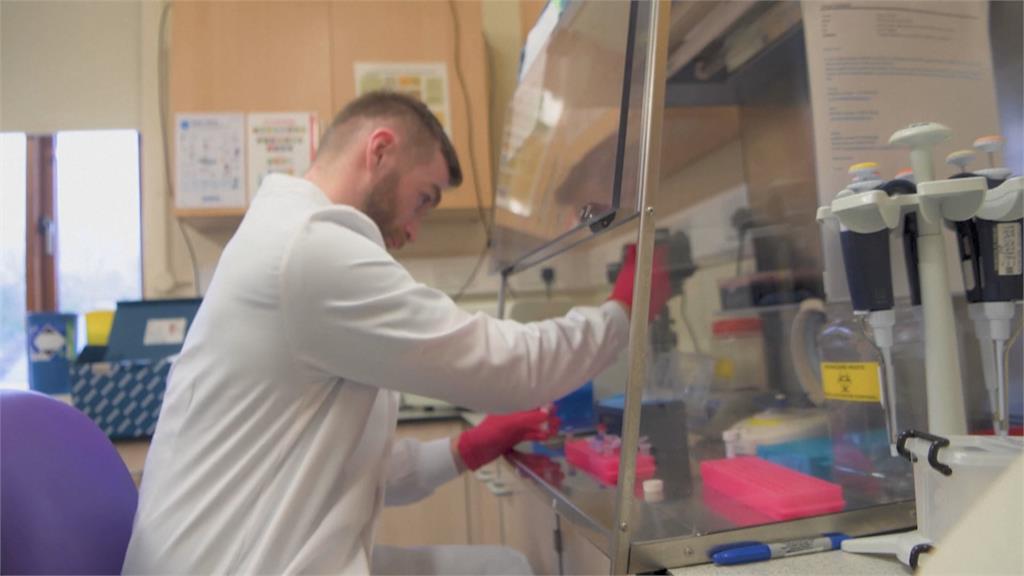 亞洲象幼象染「大象疱疹」致死率達80%　英國研發疫苗對抗