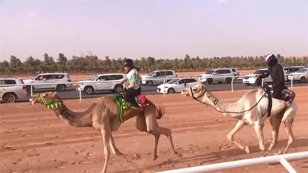 沙烏地阿拉伯最有錢駱駝賽跑！法國女騎士奪冠拿下5.8億鉅額獎金