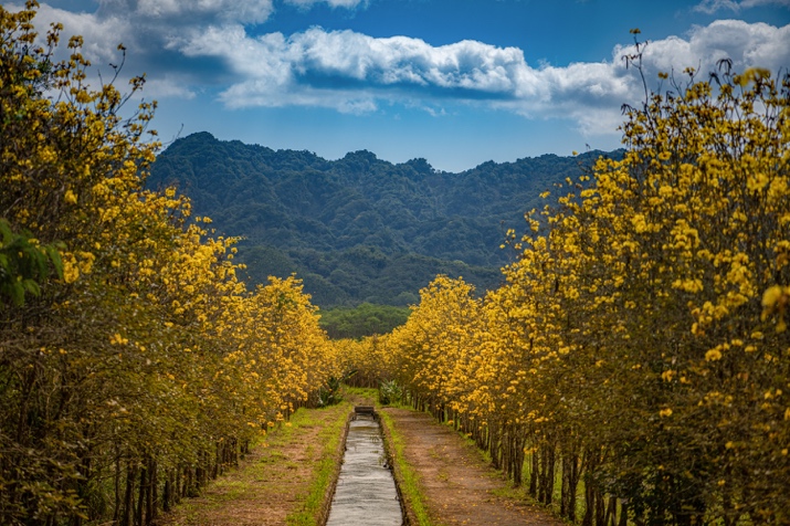 花東出「鏟」的幸福！旅宿1+1幸福專案暖心登場
