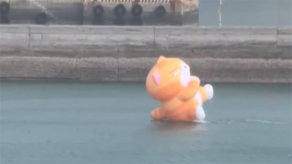 星期二也不想上班！「白爛貓」翹班去衝浪笑翻百萬人