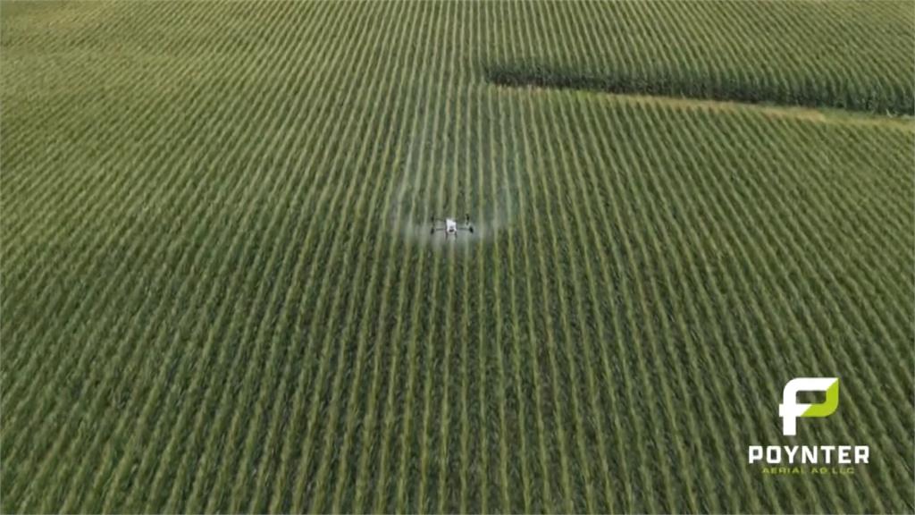 無人機自動照顧大片作物　噴藥「比直升機更精準」