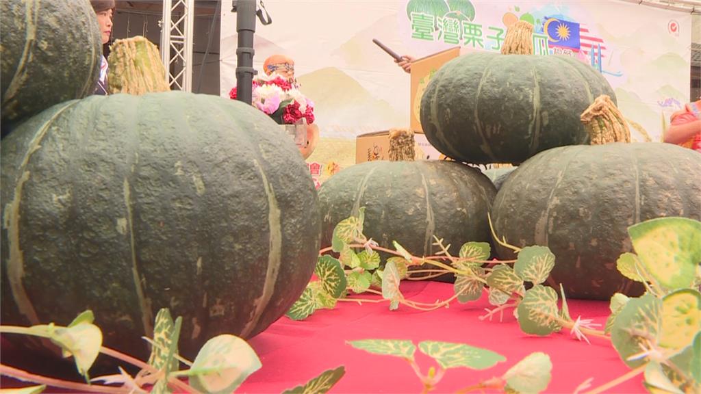 28歲「美國碩士田僑仔」來台灣徵婚!點名要「農業縣3公主」相親理由曝光