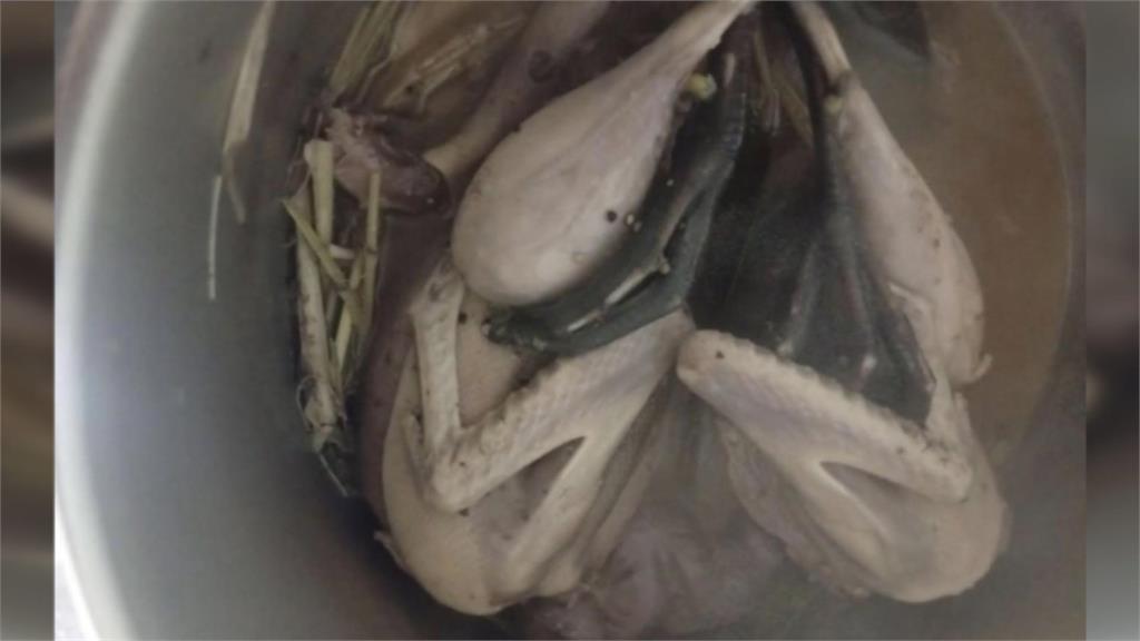 網友炸鍋! 移工"煮野鳥"貼文附黑面琵鷺照片警展開追查