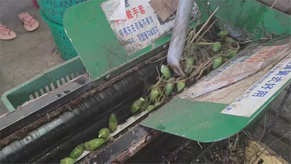 屏東小男童誤將手放進檳榔剝鬚機　手指變形緊急送醫