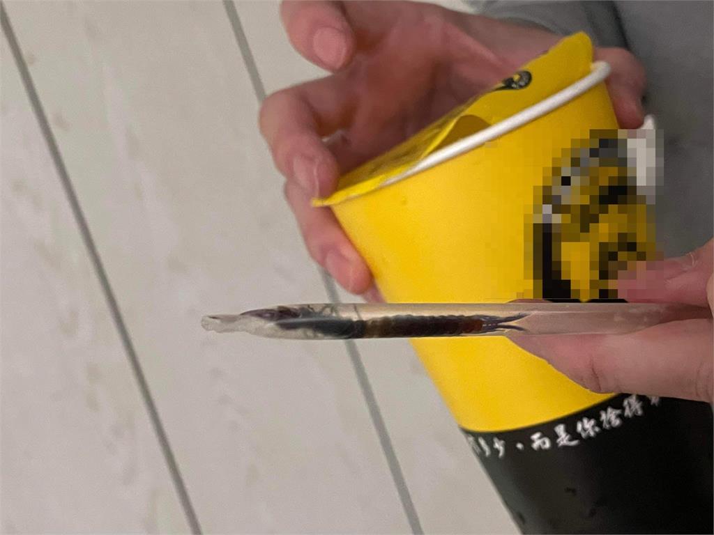 超噁!喝手搖飲吸到「又黑又長一條」竟是活生生蜈蚣 苦主驚叫阿娘喂