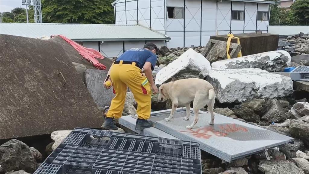 咬記者麥克風爆紅! 搜救犬Roger 「現況曝光」
