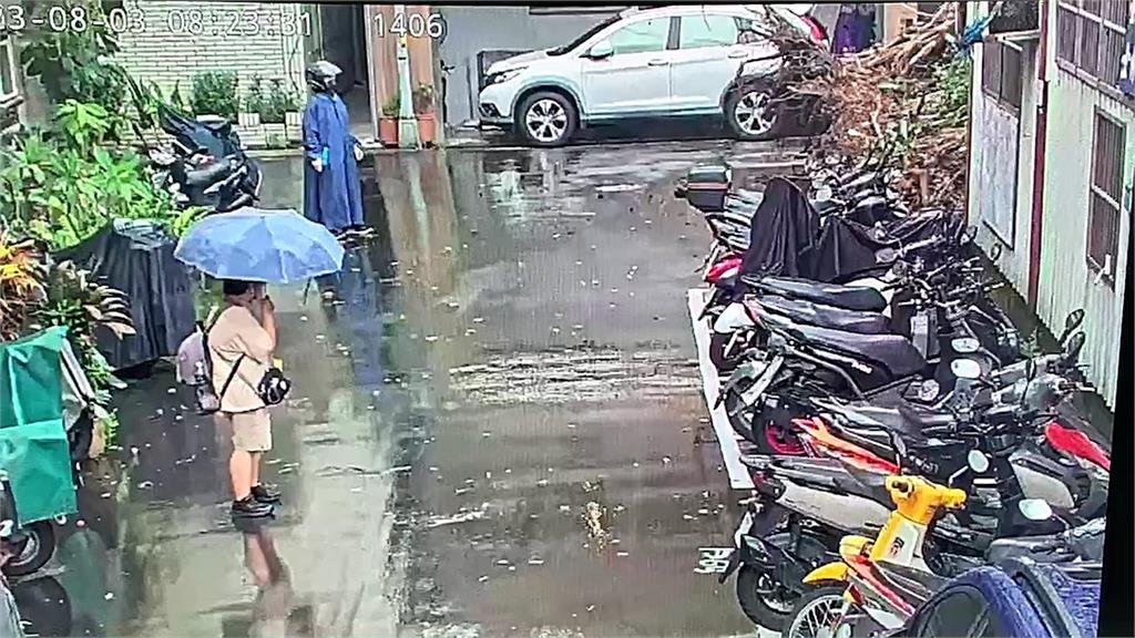 快新聞/驚險直擊!士林路樹突「連根拔起」倒下 路人一發覺迅速避開