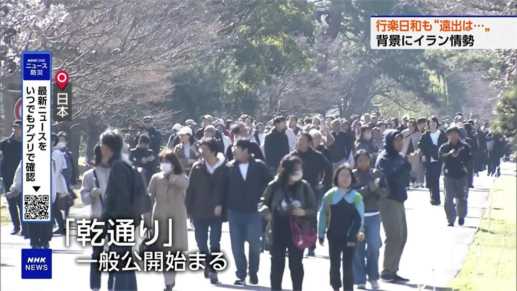 中東戰爭油價飆漲 泰國大象竟走路去上班