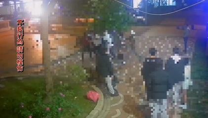 桃園龜山陸光公園上演大亂鬥　醉男因「這件事」毆打勸架夫婦