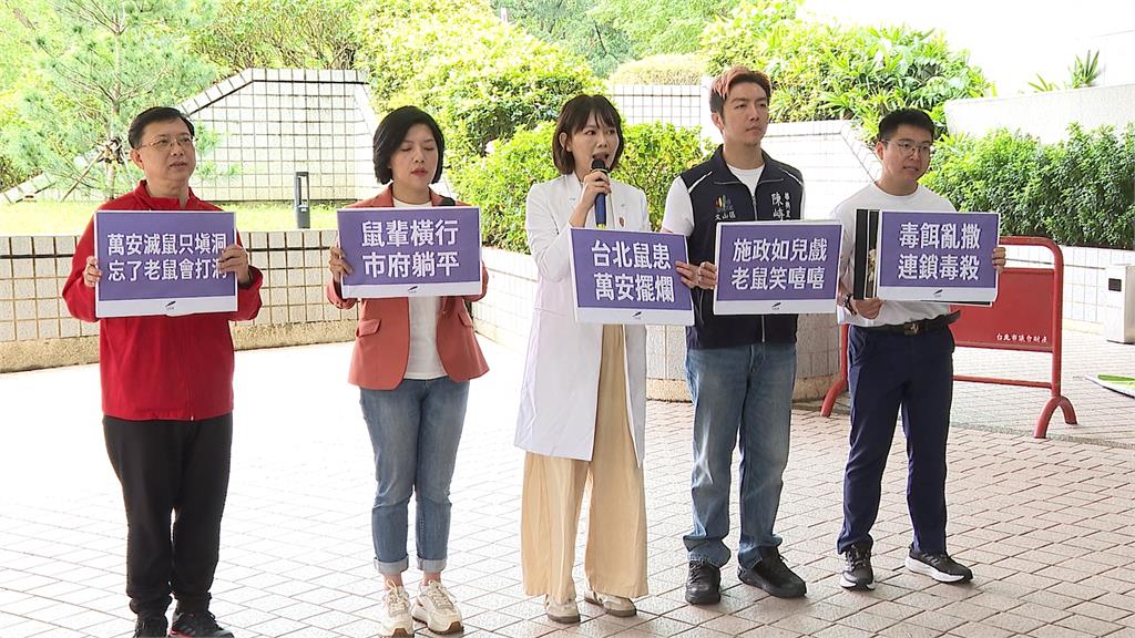 鼠患！北市加碼投４千公斤老鼠藥　小黨轟：病急亂投醫、應建鼠跡地圖
