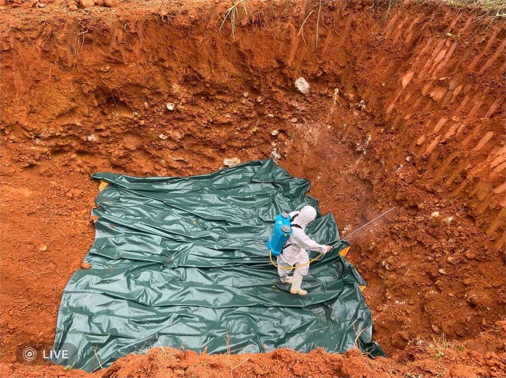 快新聞／2025年再見！回顧台灣十大新聞事件　