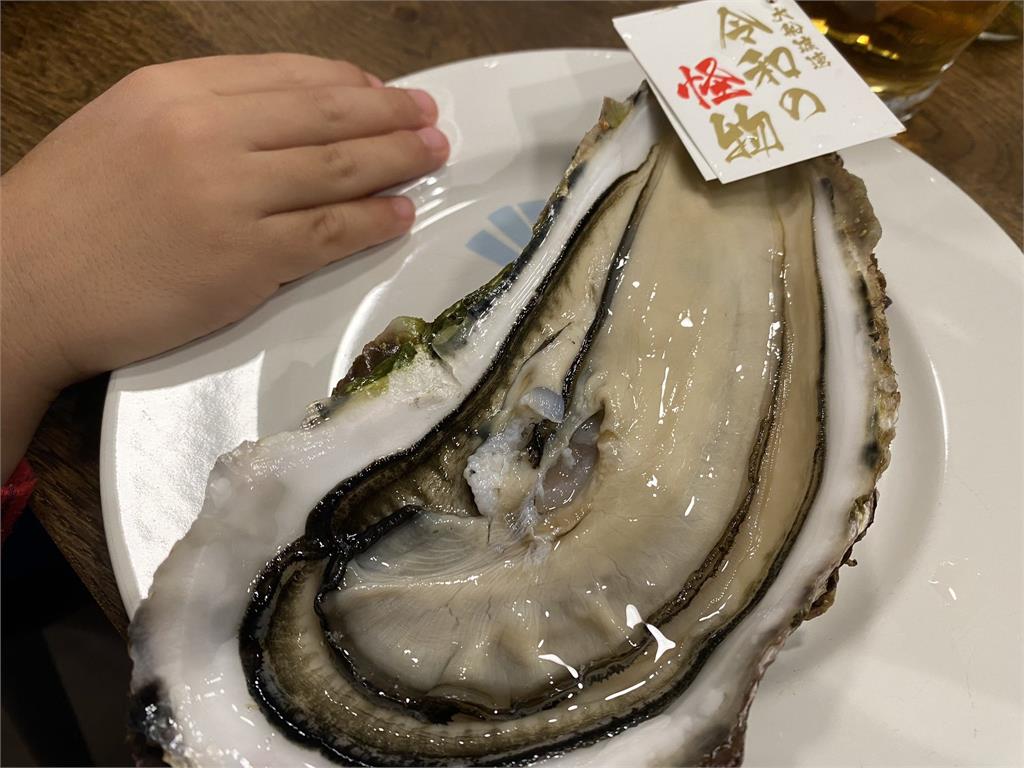 海產界的「令和怪物」！超大牡蠣只要110元　饕客驚：就像在喝大海