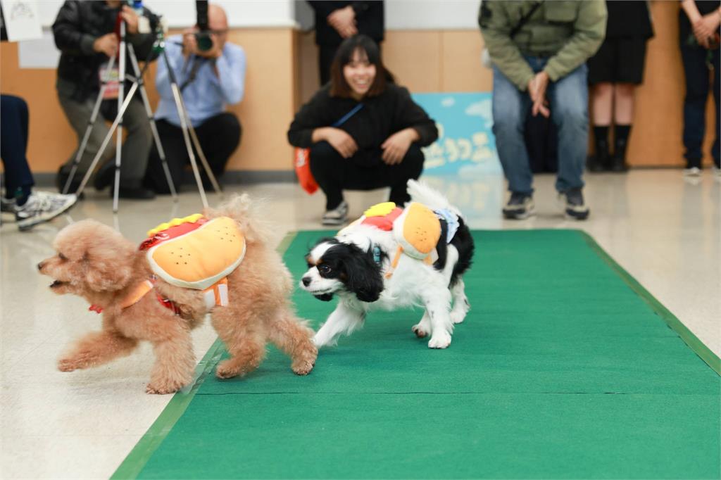 4/12-13虎頭埤水與綠第一屆熱狗盃3月7日起開放報名 名額有限要搶要快!