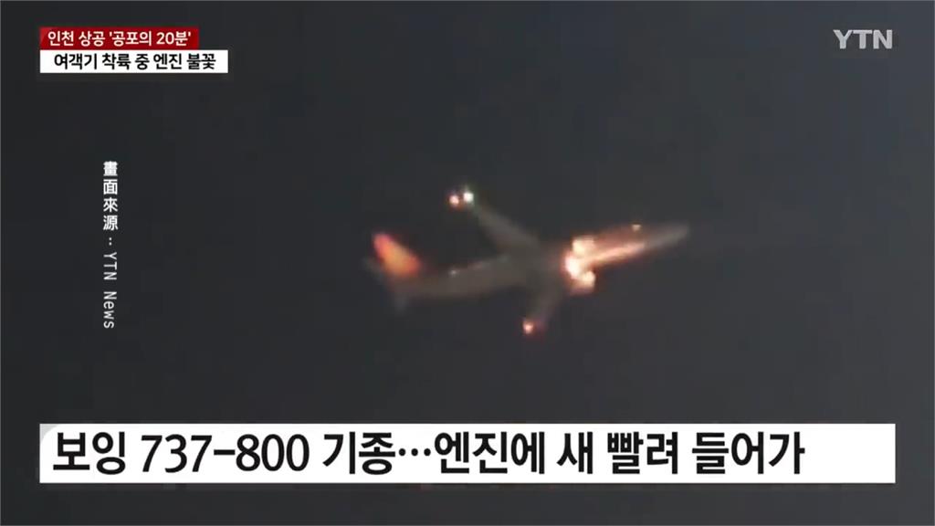 南韓「德威航空」班機降落冒出火花　引擎「吸入鳥類」驚傳爆炸聲