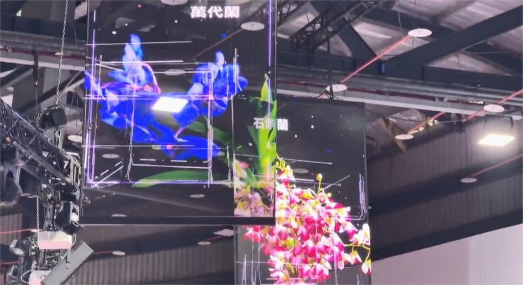 臺灣國際蘭展暨花卉科技展　結合AI藝術展現花卉魅力