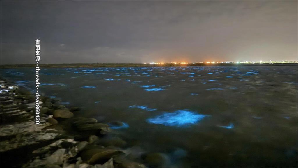 罕見美景!台南扇形鹽田前出現「藍眼淚」 吸引民眾朝聖讚嘆