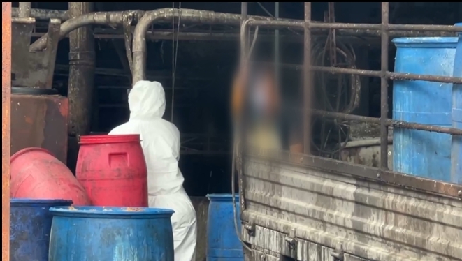 豬場爆疫情! 28頭豬隻流入3縣市 嘉縣:當天就賣光