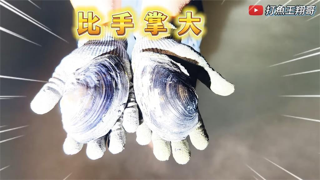 大豐收!達人河邊捕「神祕生物」發現1狀況 直呼:真是讓我太震撼了
