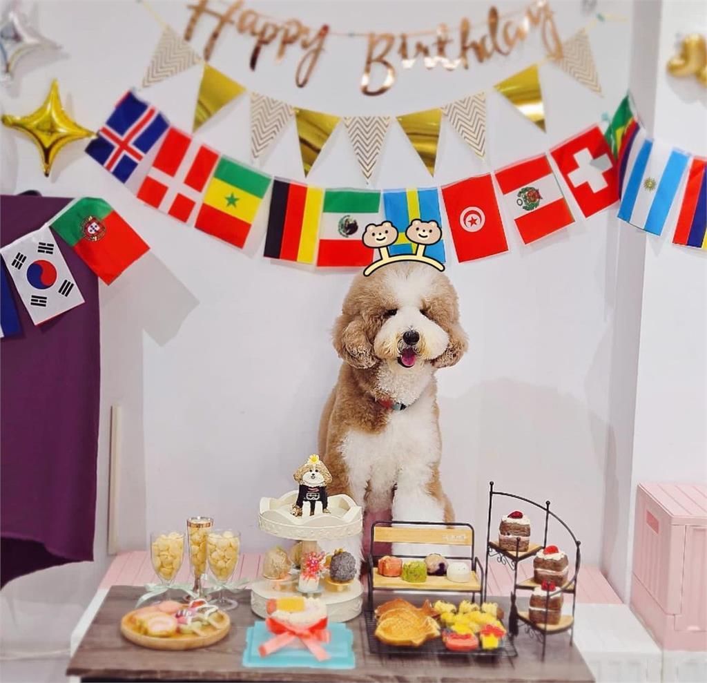羅志祥「女兒」3歲了！生日趴邀「18隻狗朋友同樂」：儘管吃都我請