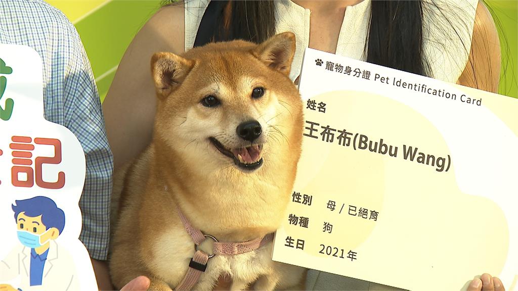 辦寵物登記 九月底前可抽300元禮券還有加碼禮