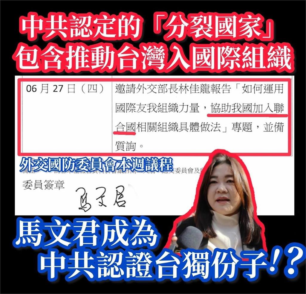 快新聞/馬文君排審「協助台灣加入聯合國」 林楚茵酸:她也成台獨份子?