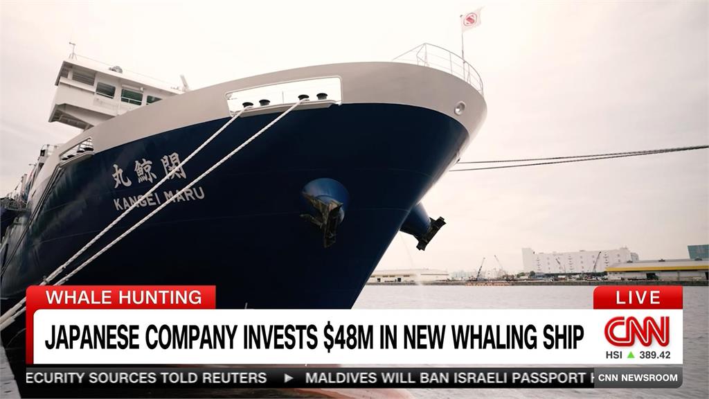 不管食鯨爭議! 日本業者逆風而行 打造超大型母艦堅持商業捕鯨