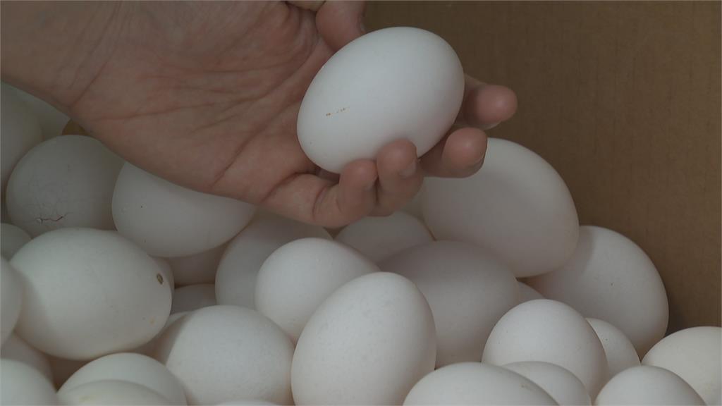 年前缺蛋荒！　一台斤雞蛋漲到50元　民眾買蛋撲空