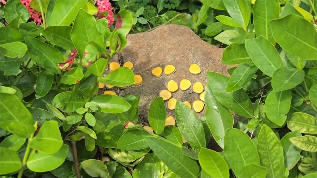 趕不上開學日！桃園中壢民宅大火釀5死　4童國小將辦追思會