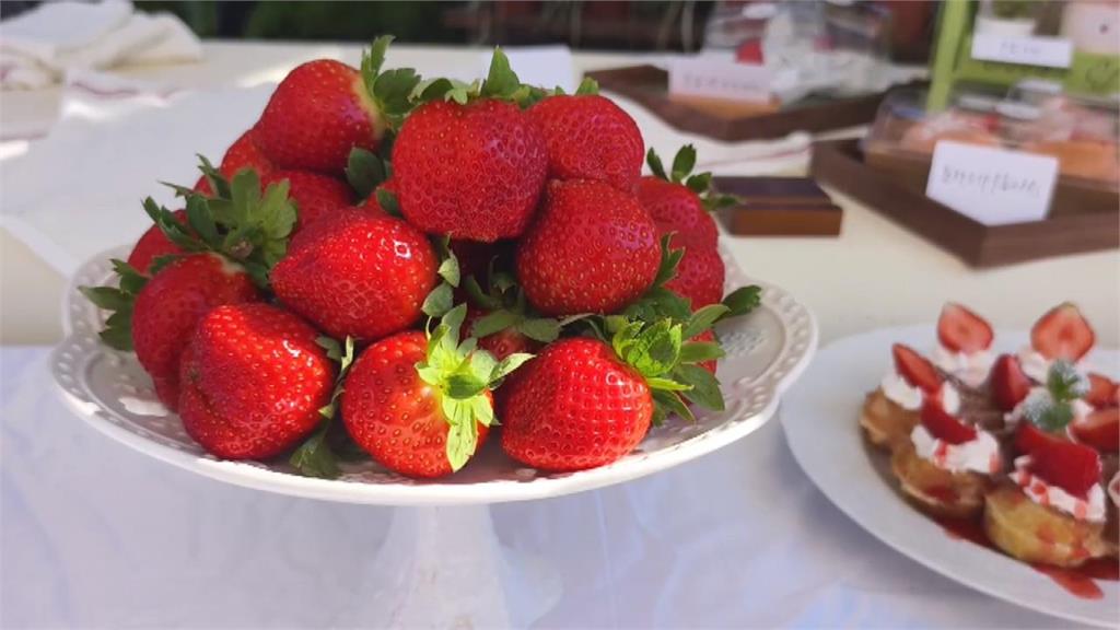 一眼看新聞／2026草莓季攻略整理　品種挑選、價格分佈與採摘防雷