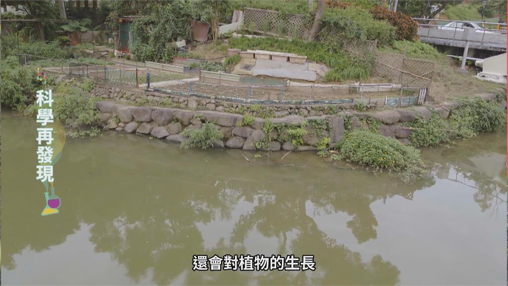 多處湖泊優養化 家庭廢水、過度施肥是元凶