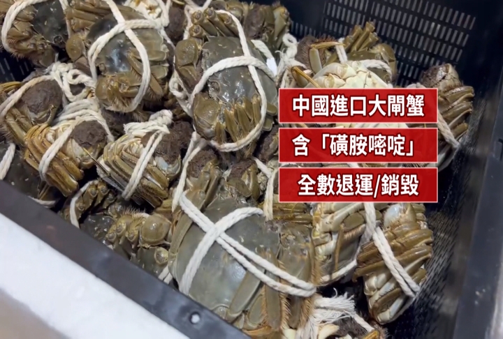 重新檢驗後...中國進口大閘蟹首批藥檢過關 饕客期待