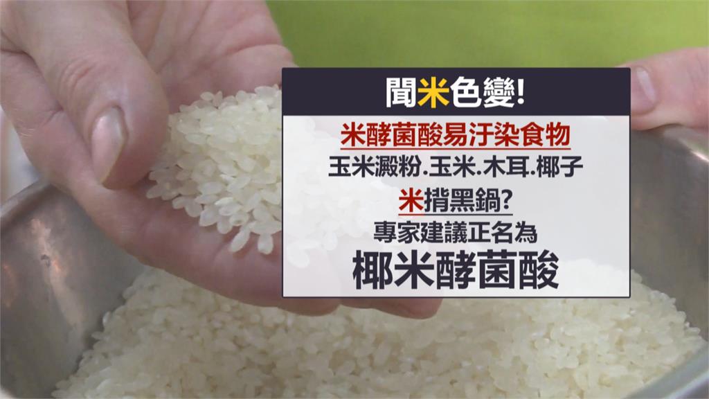 憂民眾誤解「米酵菌酸」波及米食業　學者籲正名「椰米酵菌酸」