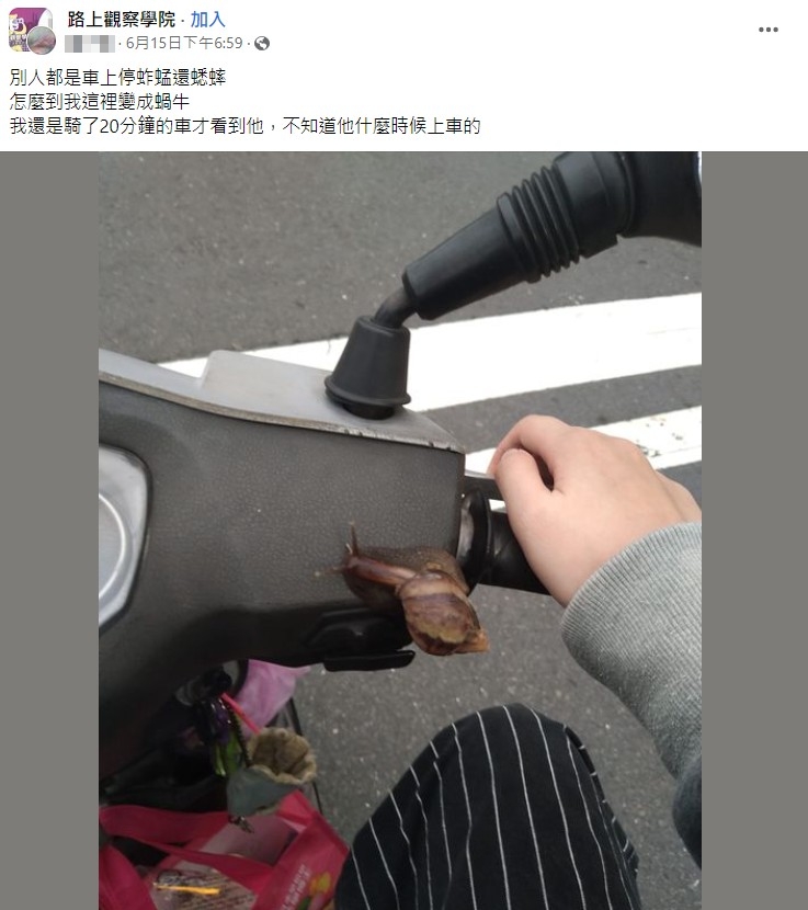 騎車飆20分才驚見「1生物」搭便車 網笑:可能想體驗超速的感覺吧