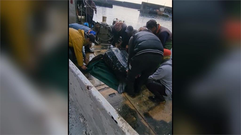 頭城外海定置漁場驚見「革龜」　被流刺網纏住流血