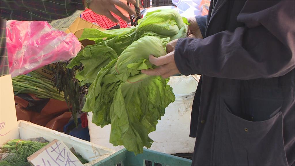 吃火鍋菜價飆漲　茼蒿漲近4成、玉米翻倍漲