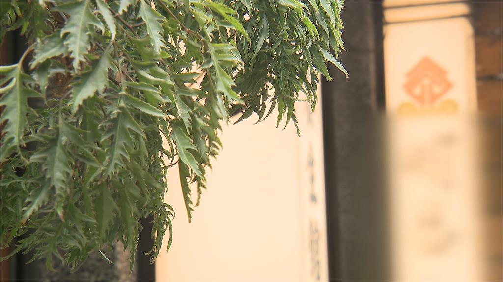 林書豪貼針灸照掀波 御用按摩師被爆是「密醫」