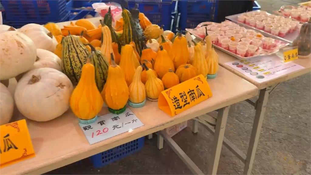 母親節週末吸遊客! 苗栗造橋南瓜節登場 200米南瓜隧道.巨型南瓜超吸睛