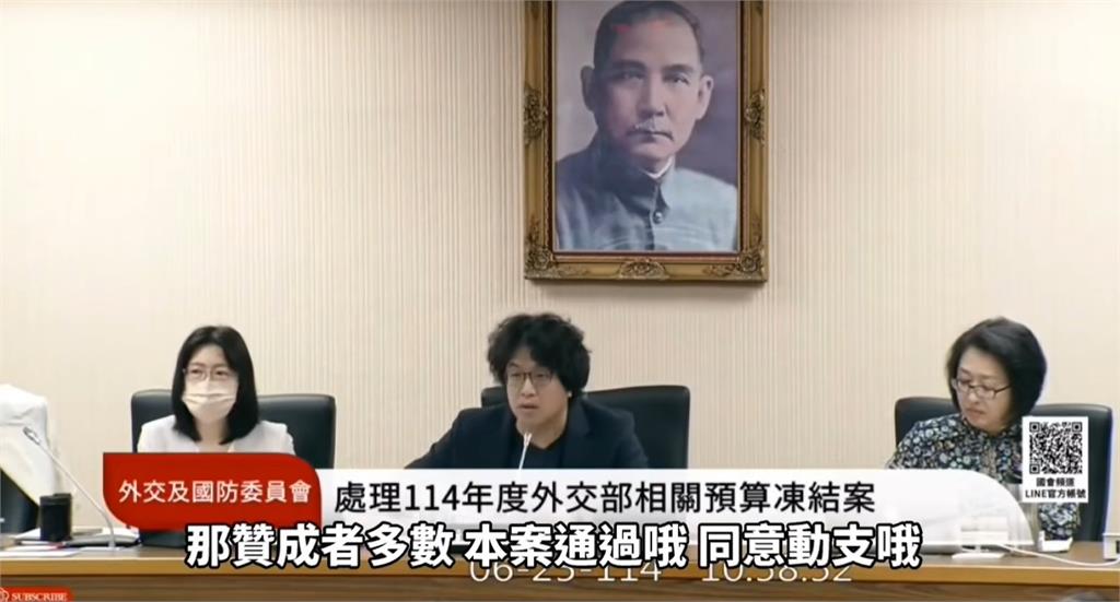徐巧芯偷站綠邊遭抓包!解凍預算「默默舉手贊同」…王定宇笑喊:民主力量真偉大