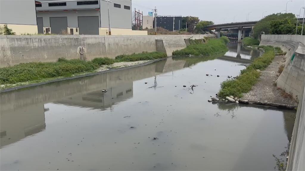 台南驚現鱷魚出沒 youtuberJ爸捕捉上岸