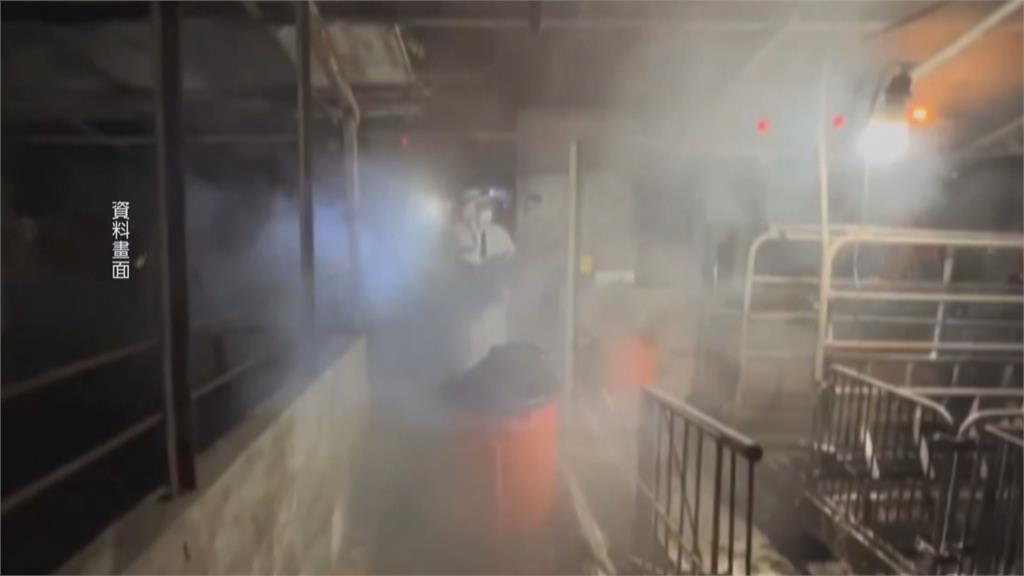 動保處人員"私自進入豬瘟案場清消"　　台中市府：嚴格處分