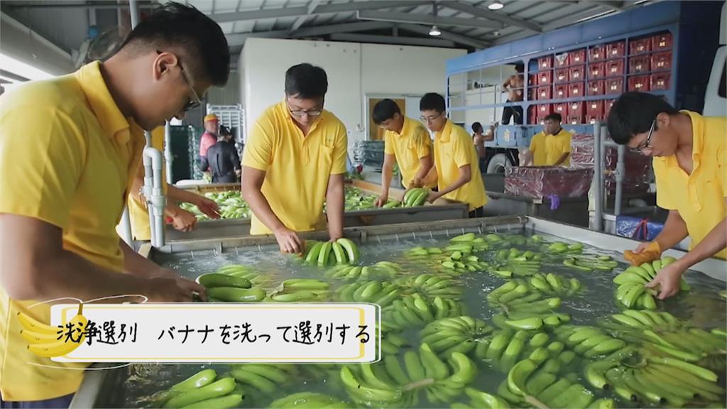 台日水果交流！Taiwan　banana銷日本　「這裡」的營養午餐吃得到