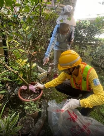 快新聞／北市新增1例本土登革熱　中正區50多歲女沒出國「感染源待釐清」