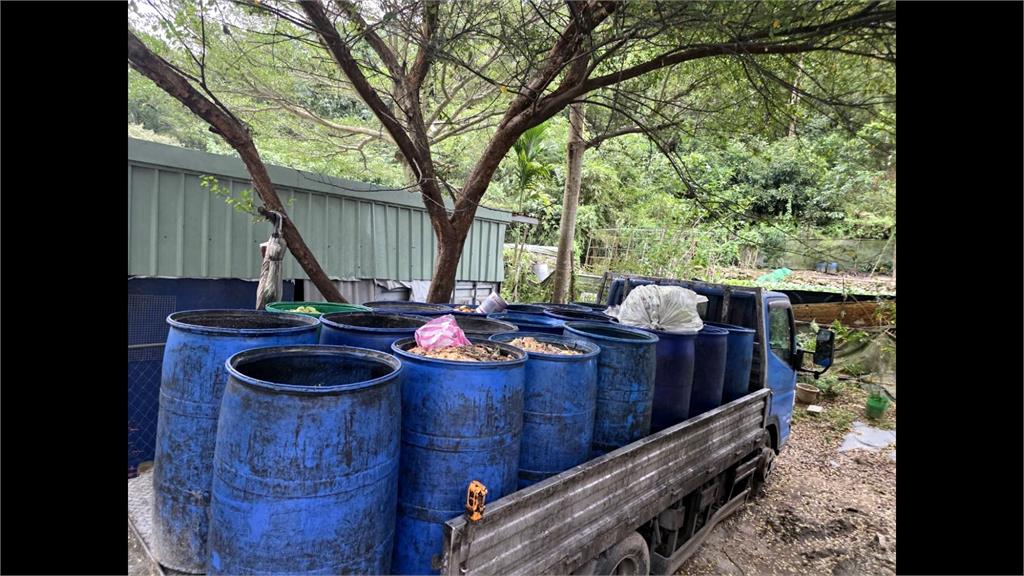 新北泰山養豬場偷餵廚餘　環保局：來源是餐飲業、社區
