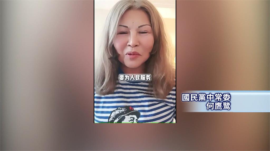 KMT中常委喊統一遭停職　綠委酸黨魁就能祭拜共諜