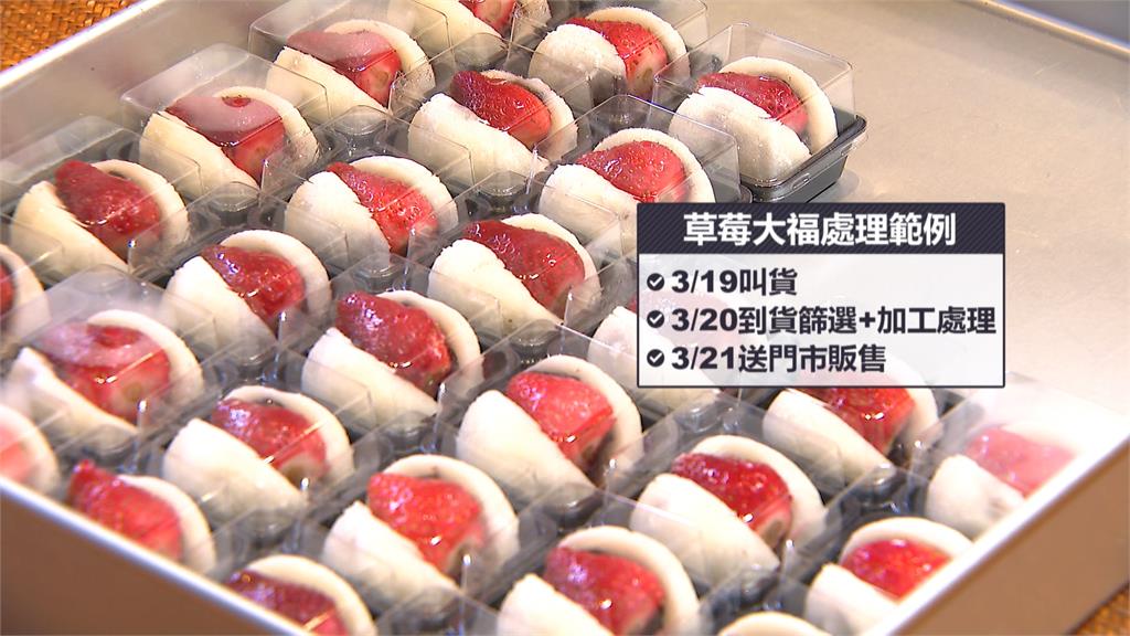 迪化街排隊名店「滋養草莓大福」驚爆發霉 衛生局揪2缺失