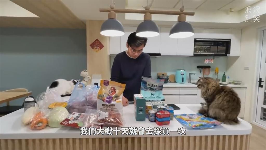 撒嬌vs高冷!寵物迷10指標分析貓狗派 強調:主人的陪伴最重要