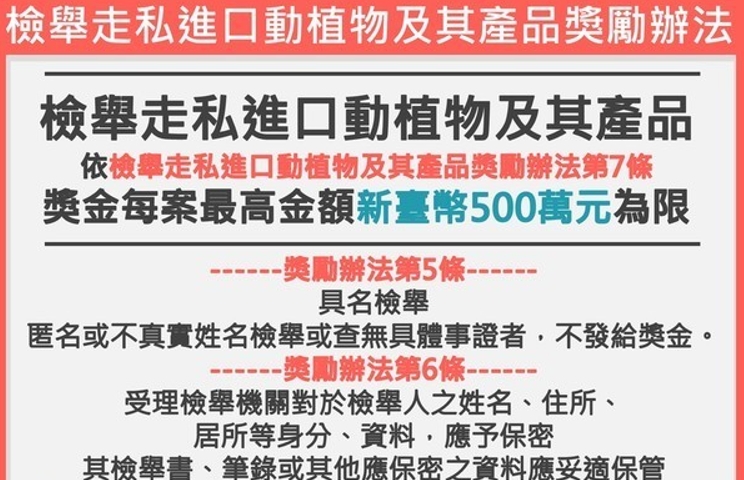 快新聞／防止非洲豬瘟到家門口！　台南祭「每案5000元」鼓勵民眾檢舉