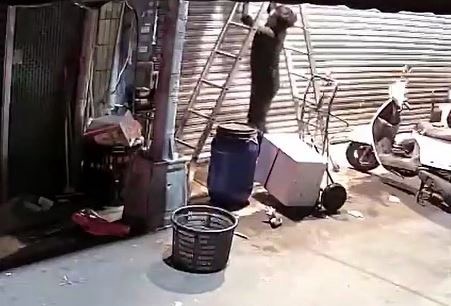 住戶不滿小吃店噪音 「裝分貝計、監視器」遭毀損爆衝突