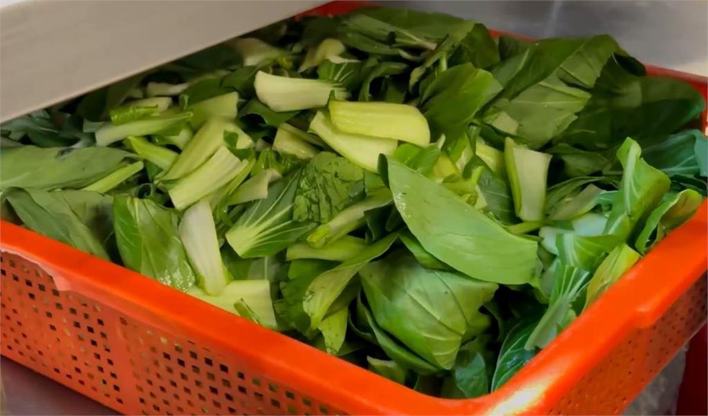 海鮮烏龍麵竟出現「這個」 用餐民眾瞬間沒胃口